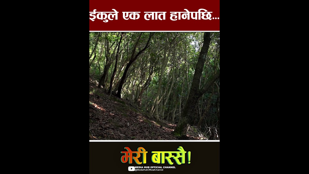 ईकुको एक लातले खोलामा पुगे दारी बा #meribassai #comedyserial #nepalicomedy #newepisode #mediahub