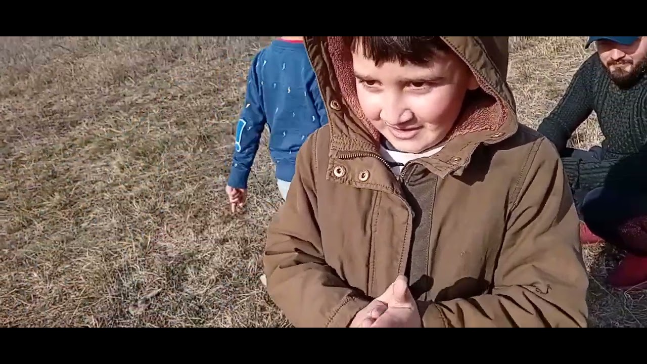 bună ziua  prieteni am  luat porci