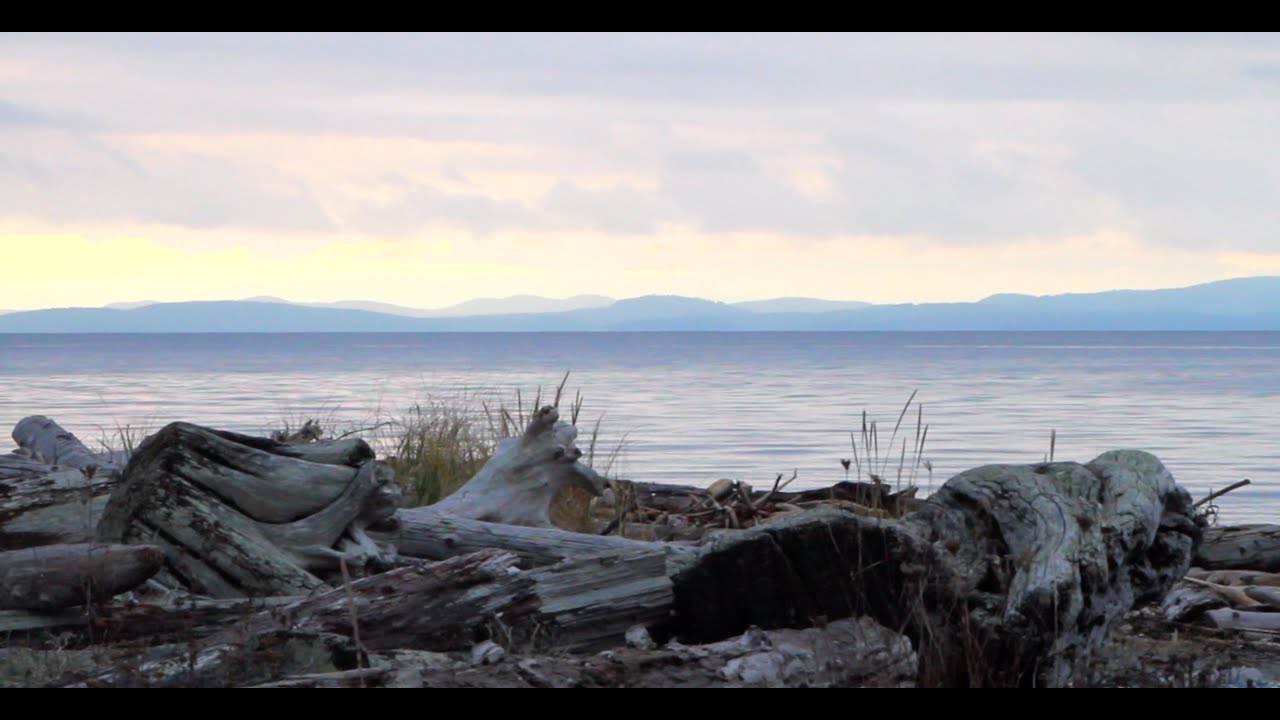 Experience Point Roberts