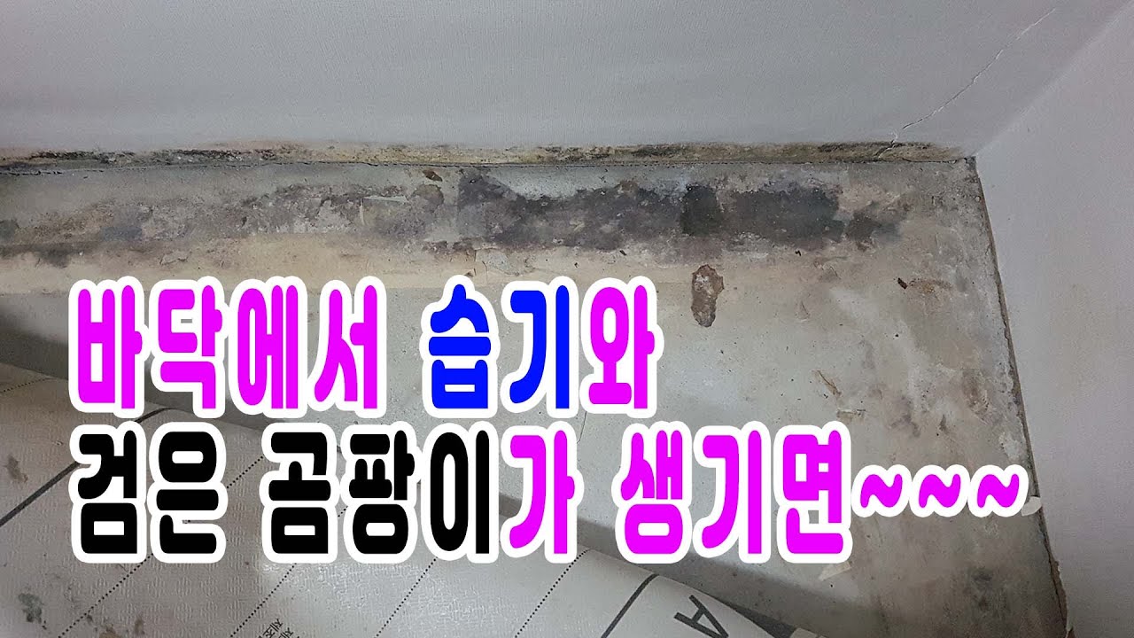 방 거실 바닥에 습기와 검은색 곰팡이가 생기면~~~ 부산누수 양산누수 김해누수 기장누수 정관누수