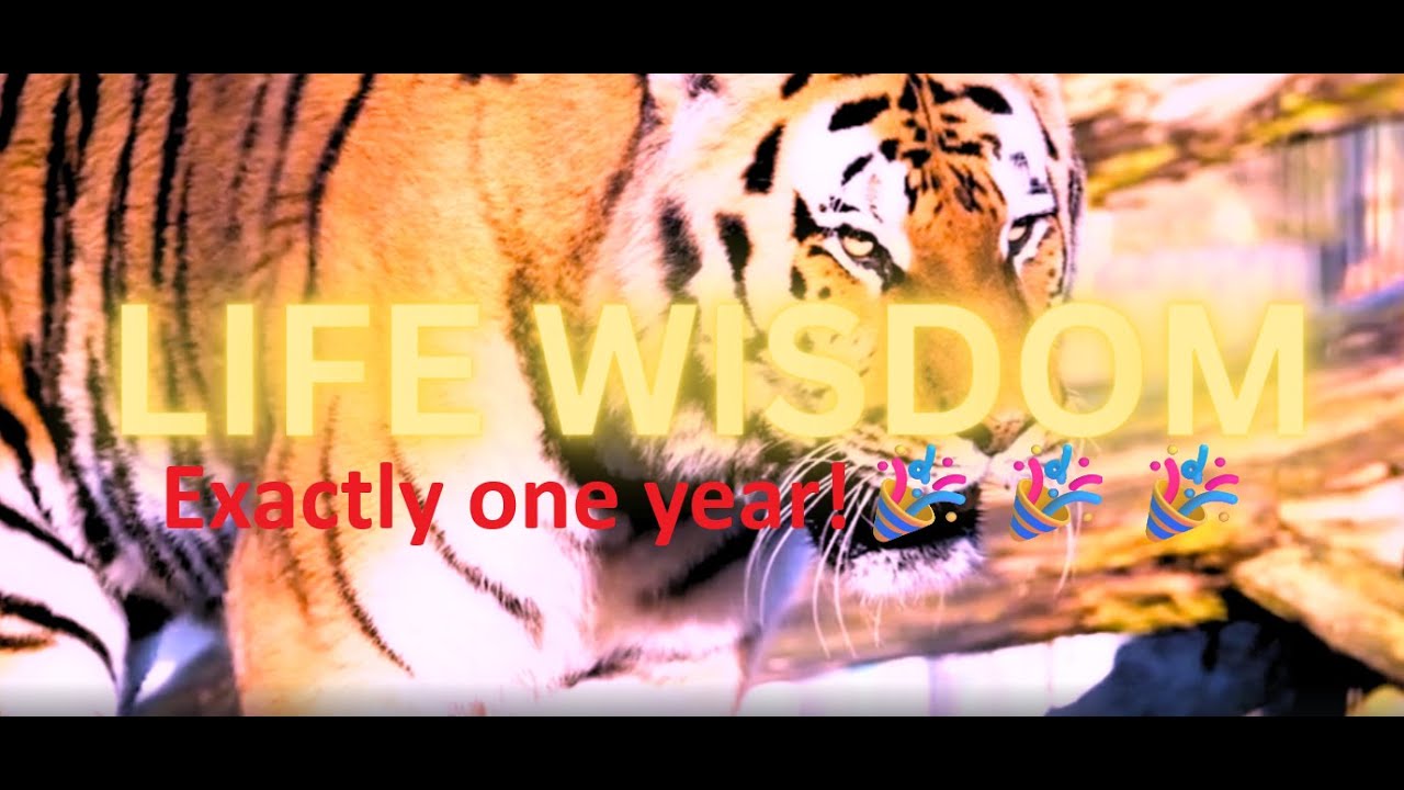 ✨LIFE WISDOM ANNIVERSARY✨IT HAS BEEN EXACTLY A YEAR🎇THANK YOU EVERYONE💐🎉