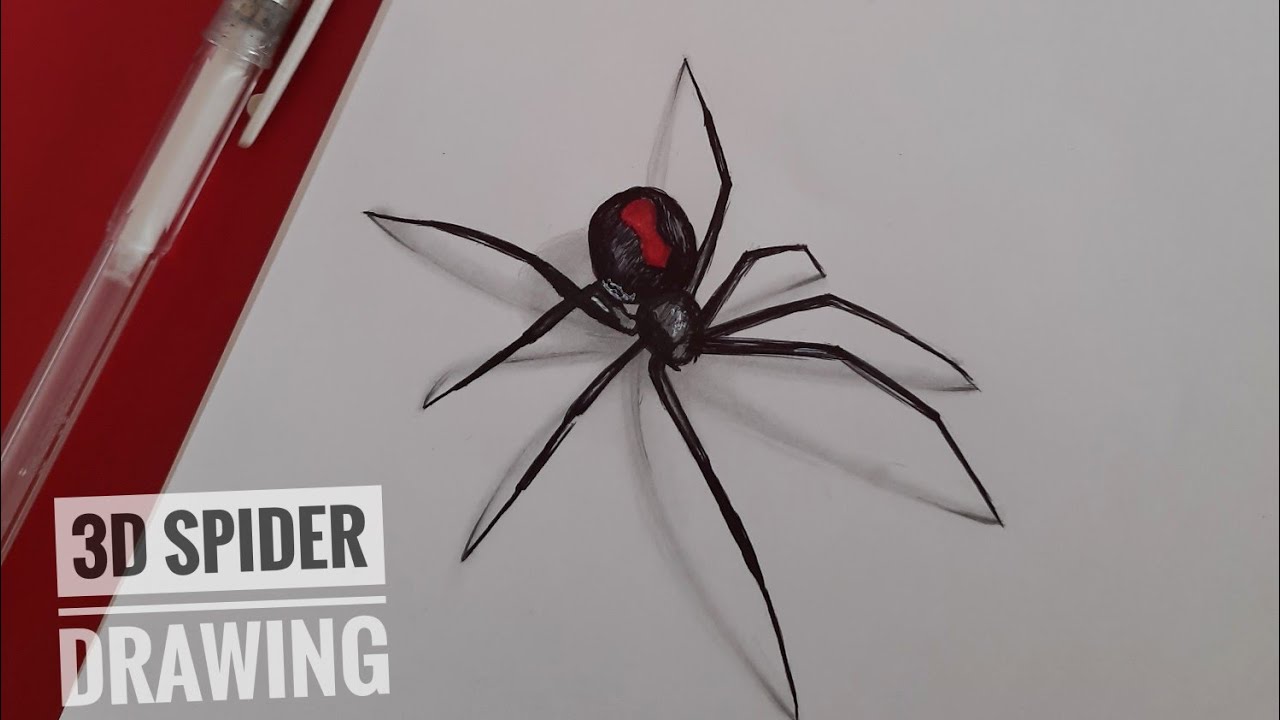 Drawing 3D Spider/How to Draw 3D realistic spider step by step