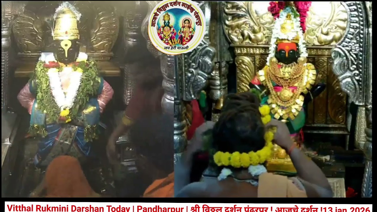 Vitthal Rukmini Darshan Today | Pandharpur | श्री विठ्ठल दर्शन पंढरपूर ! आजचे दर्शन !13 jan.2026