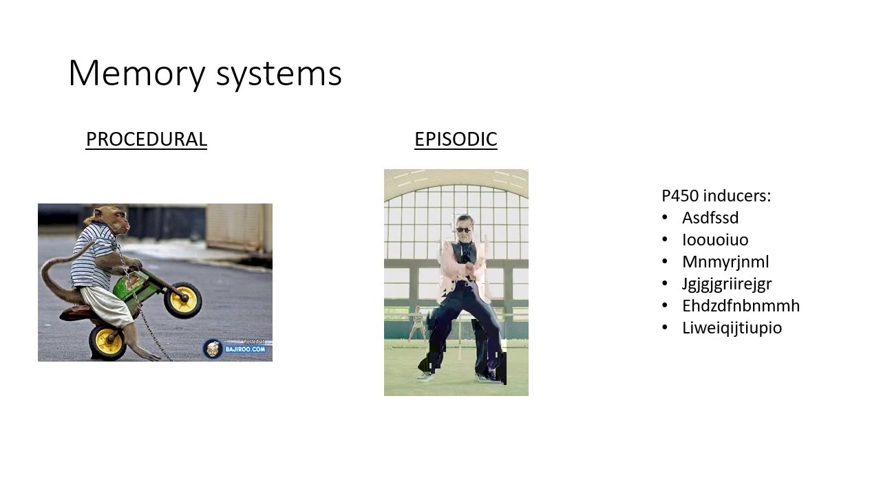 Preparing for the Anaesthesia Primary Exam #1 -  General Advice