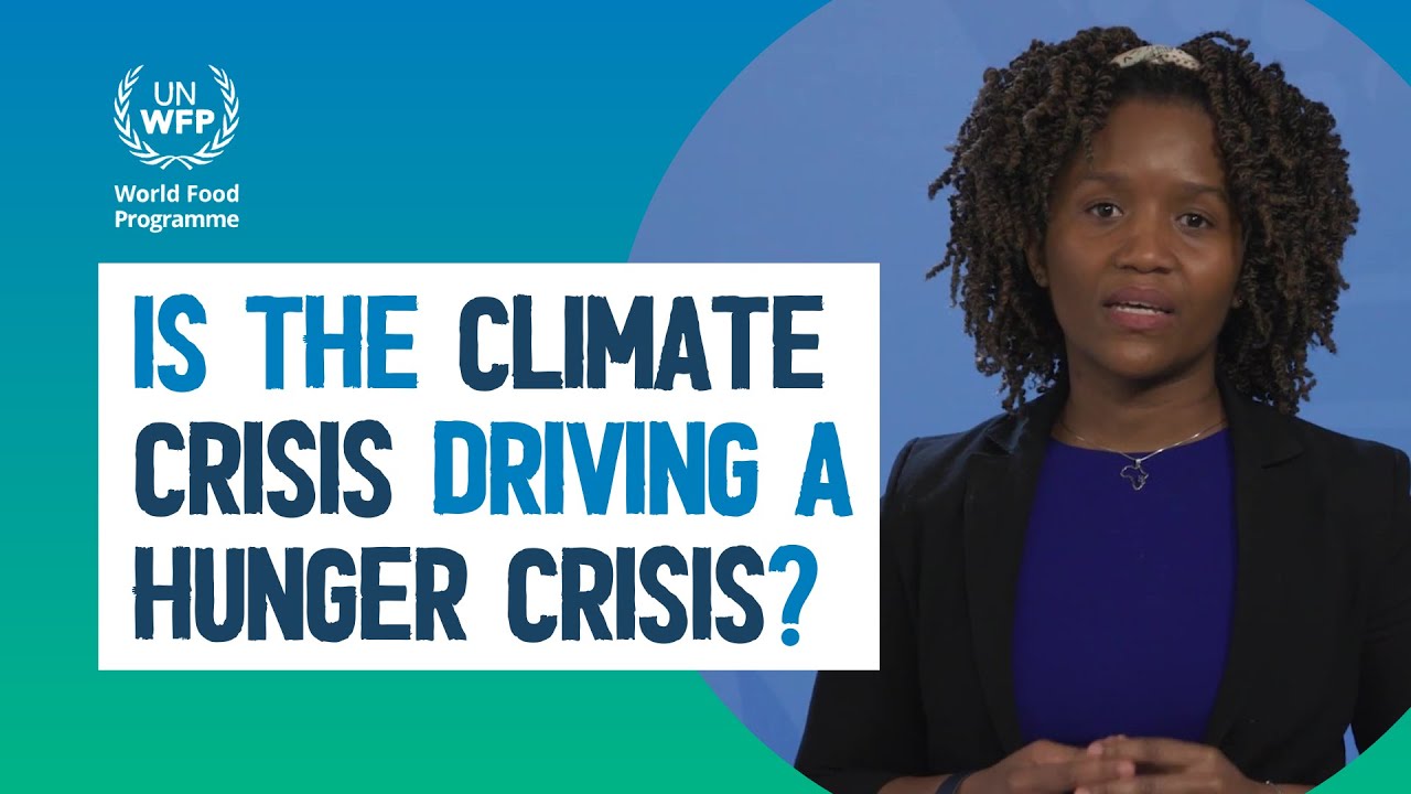 Is the climate crisis driving a hunger crisis?