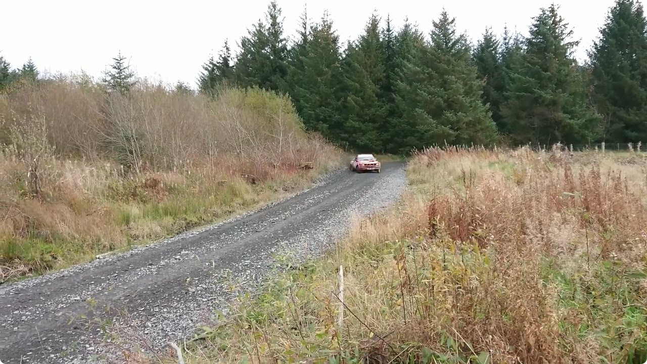 Cambrian Rally 2024 - Clocaenog 2 (SS5) (Every crew)