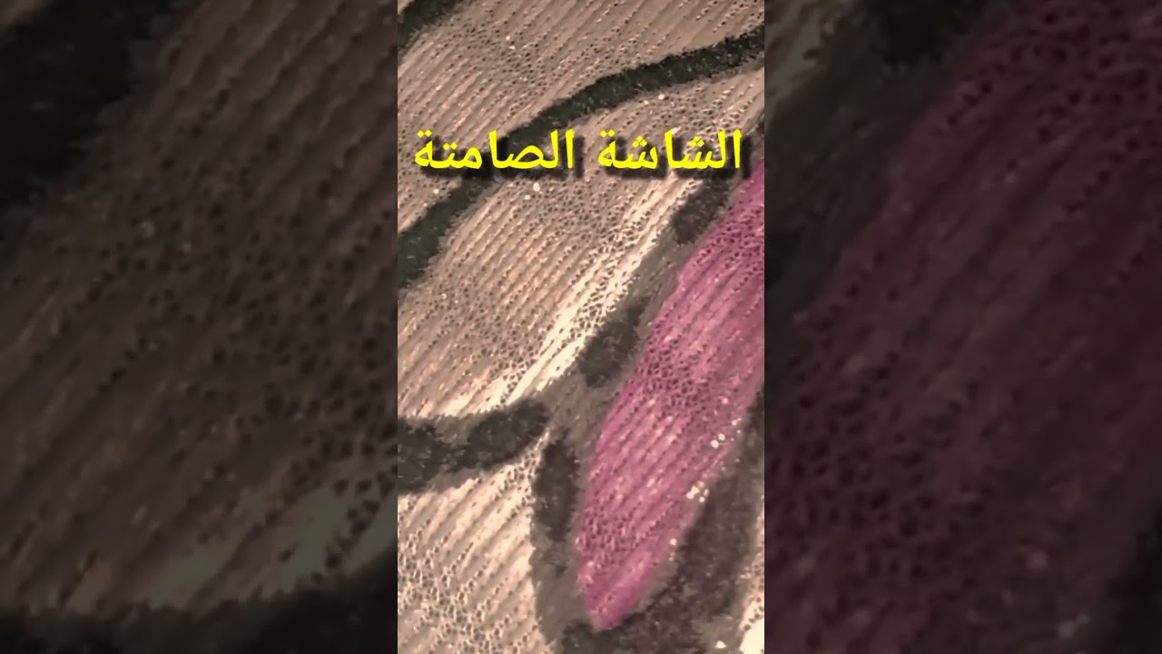 27  كون ابنك طيب أو شرير هيبدأ من أول جرح او تطيب خاطر له في الطفولة