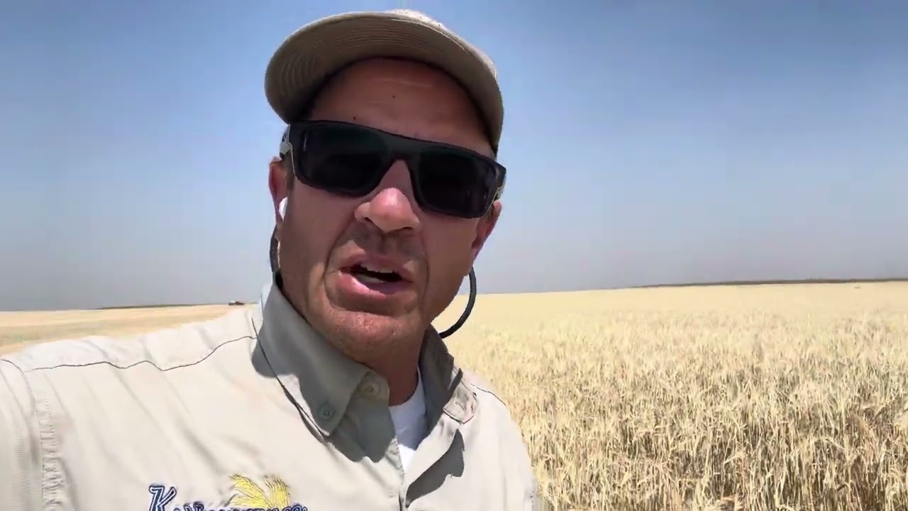 Short barley and MacDon Contour Buddies