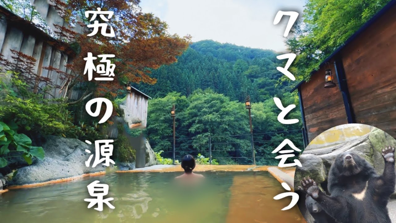 岐阜温泉【女一人旅】奥飛騨ガーデンホテル焼岳　混浴露天風呂？！　クマ牧場でこぐまを抱っこ　旅行vlog