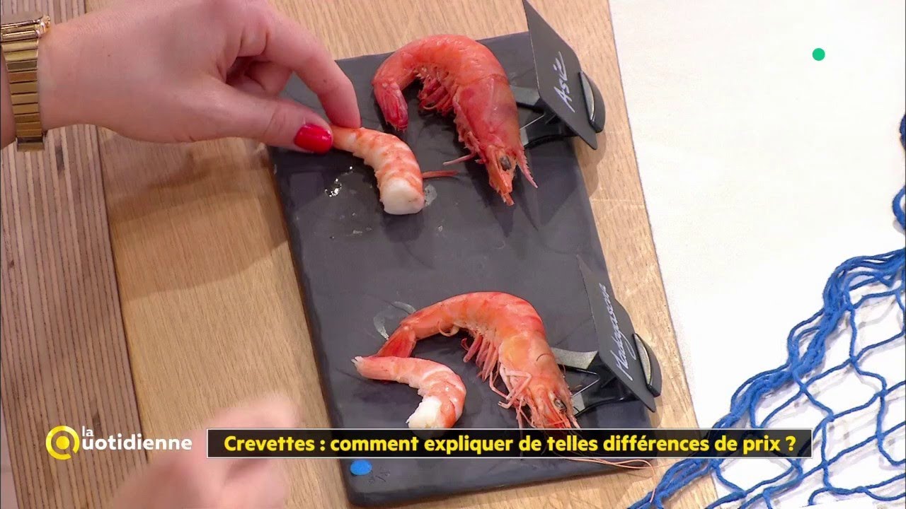 Crevettes : comment expliquer de telles différences de prix ?