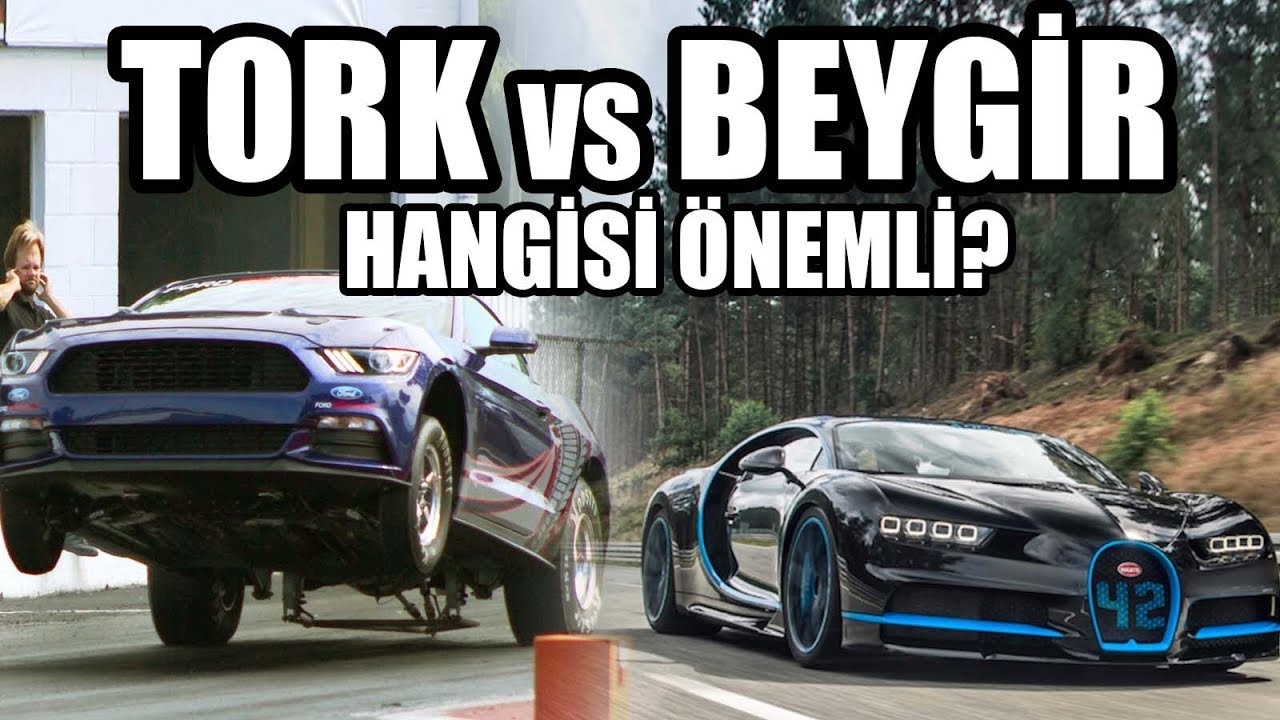 Ne Nedir? | Tork Mu &Ouml;nemli Beygir mi?