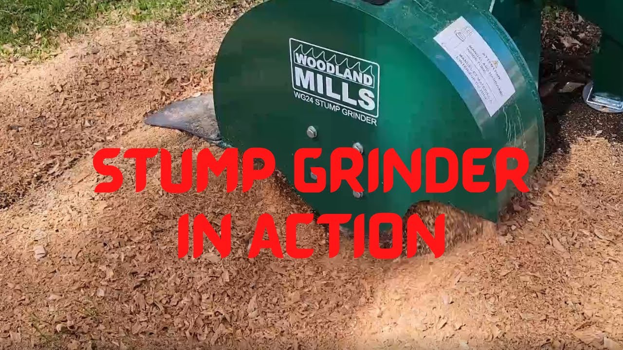 Woodland Mills stump grinder put to work     #57