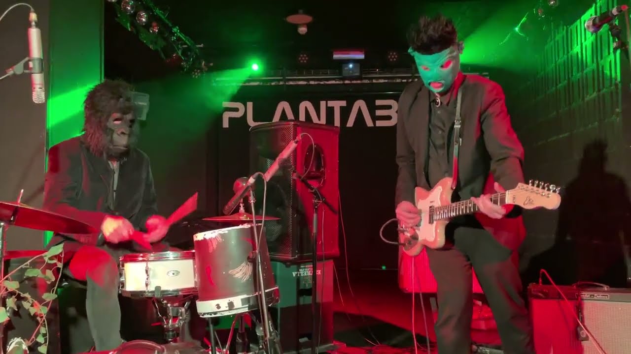 Pelomono - Big Bill Bronzy / Mono Rabioso / Planta Baja Granada 24/Nov/22
