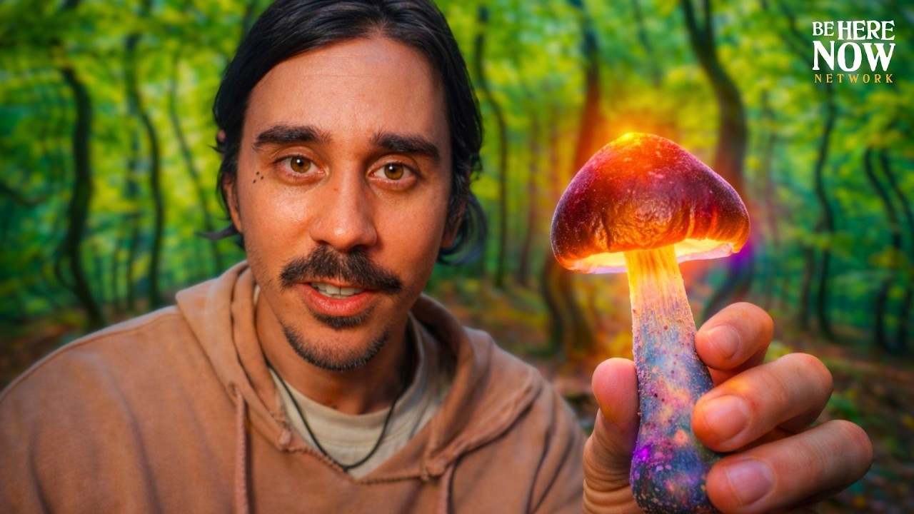 Грибы показали мне то, чего я не хотел видеть.