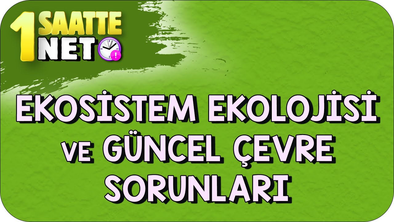 TYT Biyoloji Ekosistem Ekolojisi ve Güncel Çevre Sorunları #kamp2023
