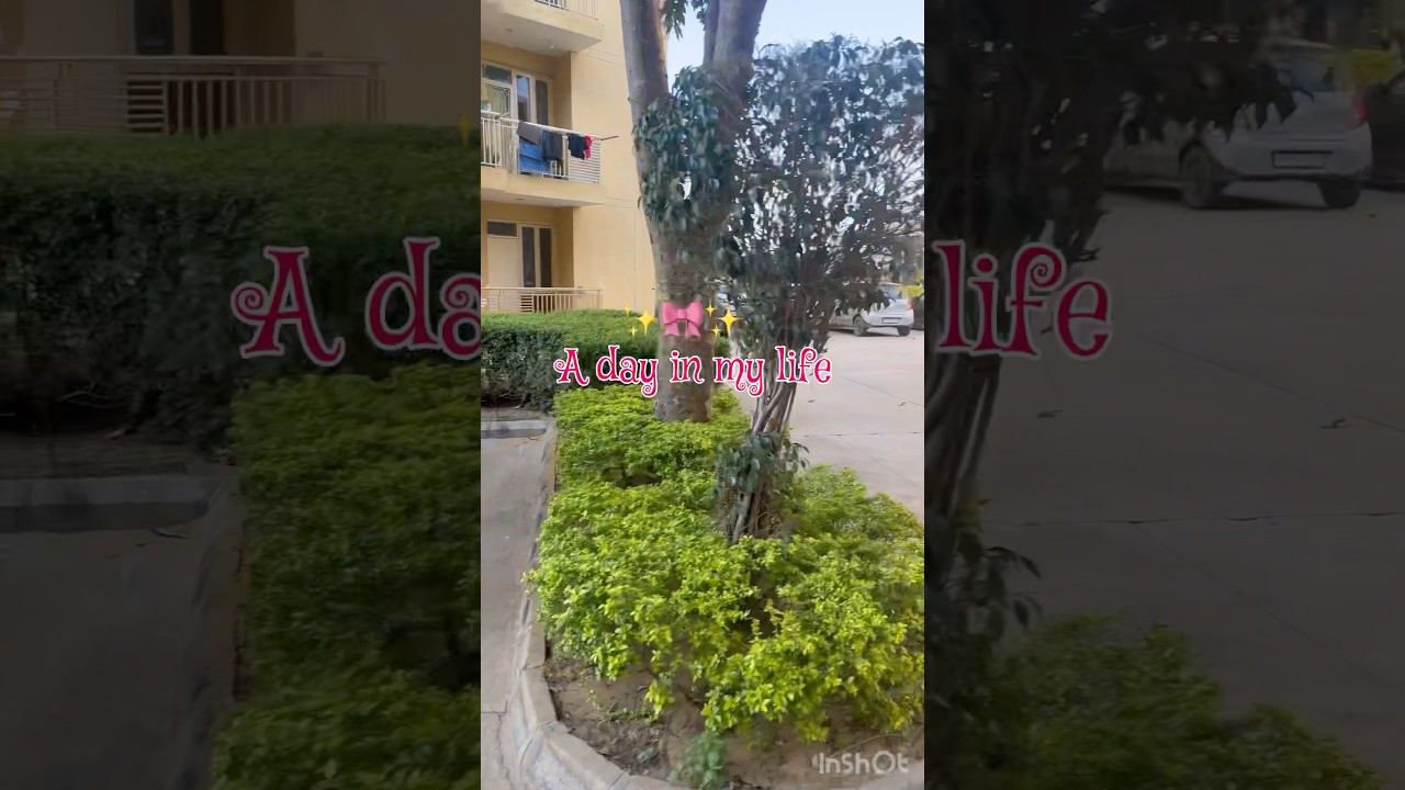 Mini Vlog🎀 day- 14/50 #minivlog #familyvlog #shortvideos #shortsviral #adayinmylife #daily vlog y
