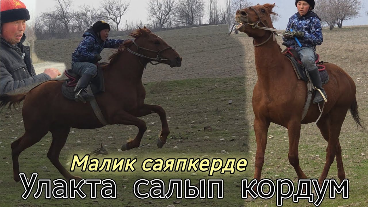 БУДЁН МАЛИК САЯПКЕРДЕН ЧЫКТЫ