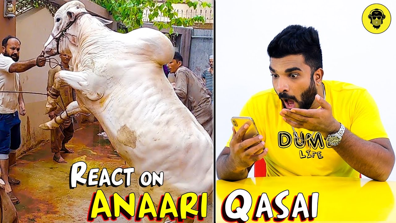 Anaari Qasai