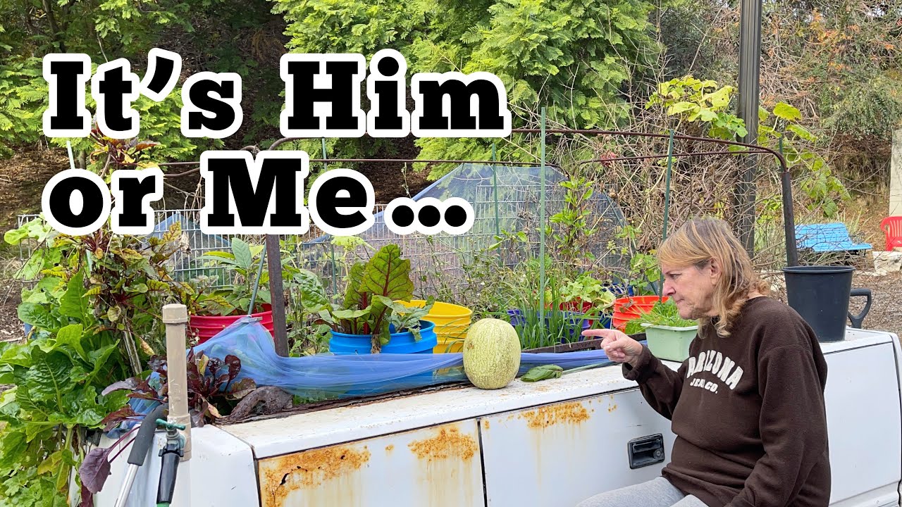 Raised Garden Bed Success is Changing as Potatoes Grow Great in Buckets, Container Gardening Flowers