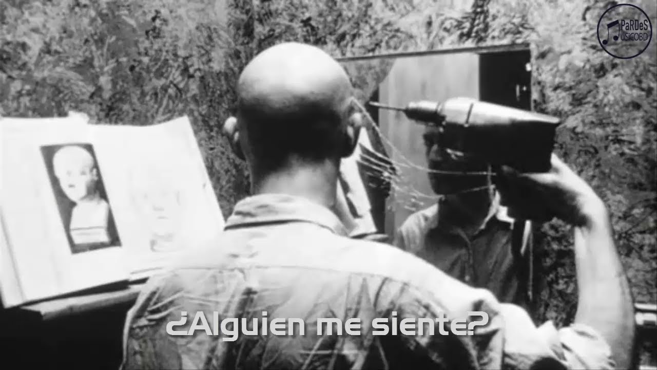 P.O.D. - Sleeping Awake (Sub Español) HD