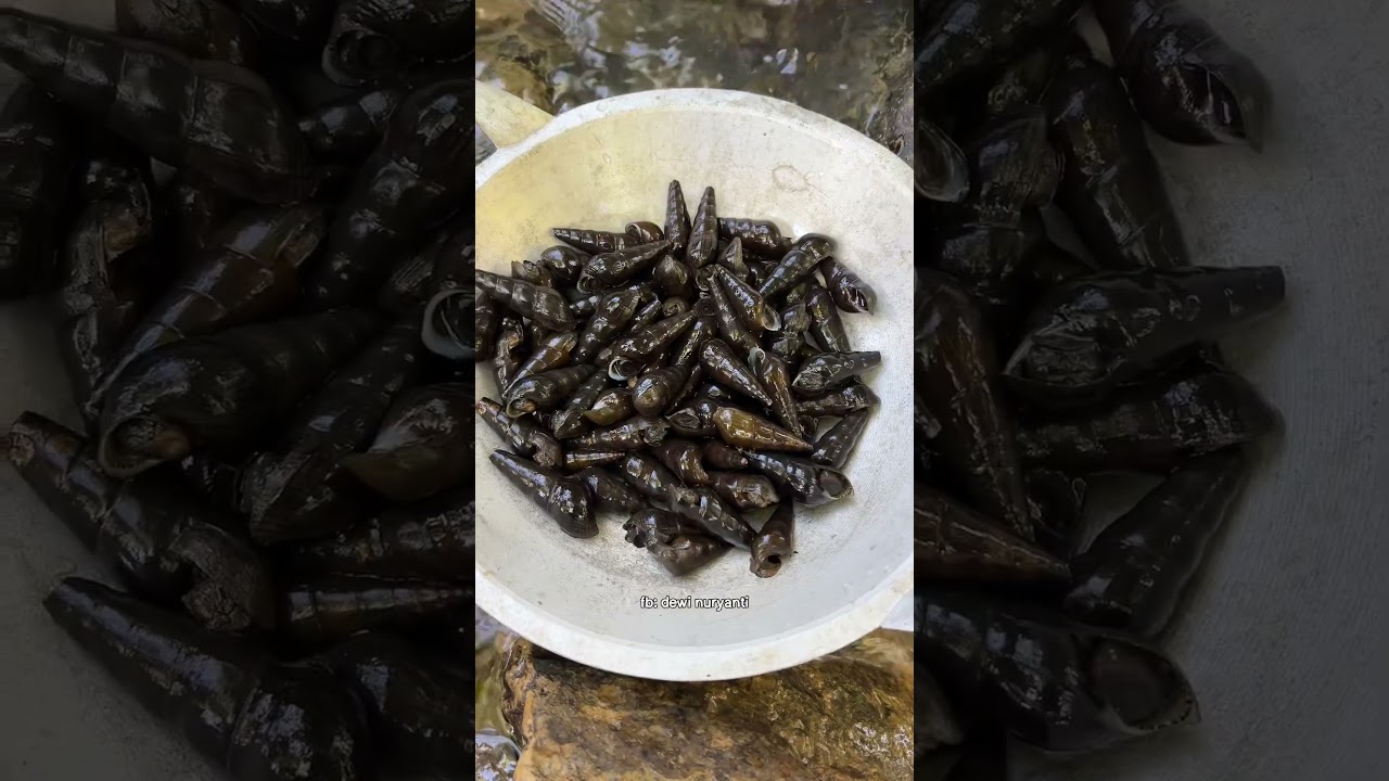 senangnya menyatu dengan alam dan memasak langaung hasil buruan kita di tepi sungai