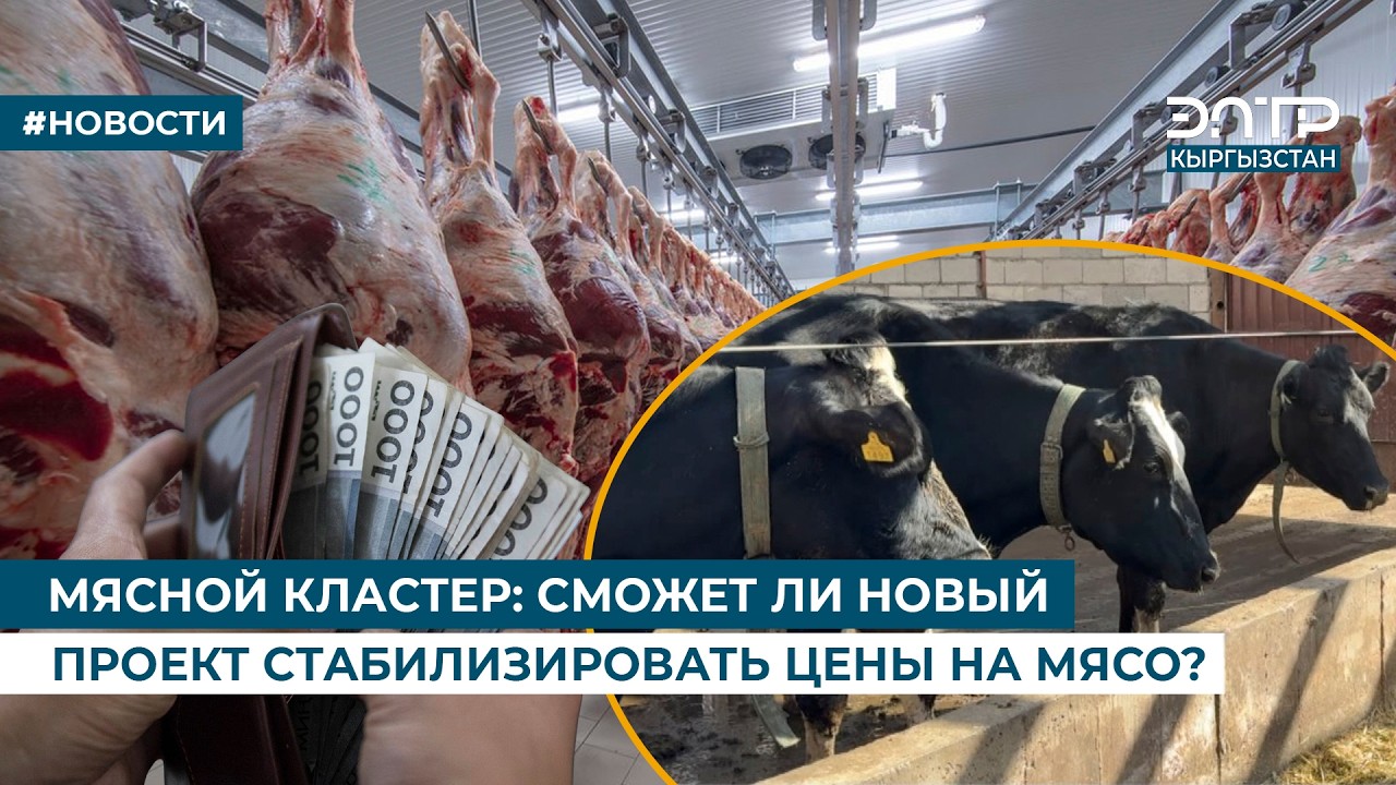 МЯСНОЙ КЛАСТЕР: СМОЖЕТ ЛИ НОВЫЙ ПРОЕКТ СТАБИЛИЗИРОВАТЬ ЦЕНЫ НА МЯСО?
