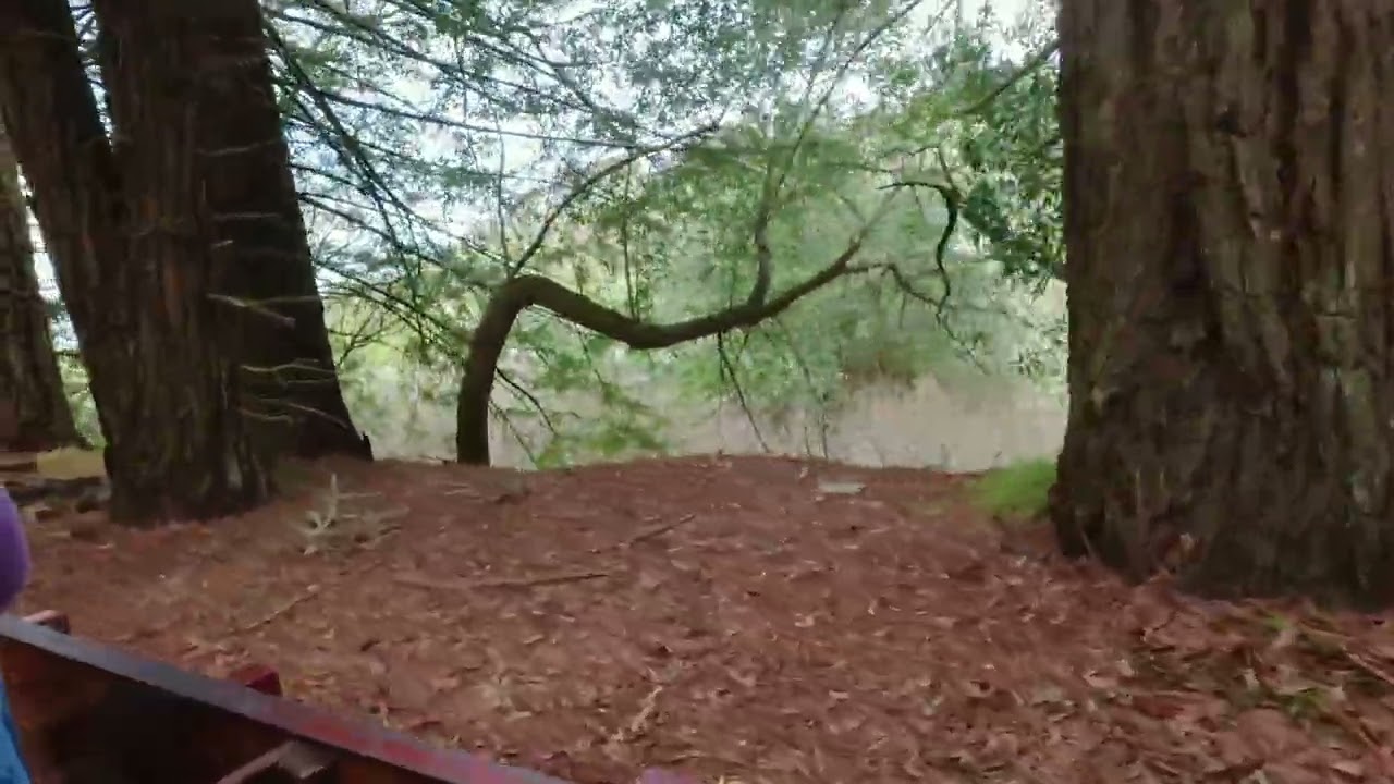 Tilden Steam Train