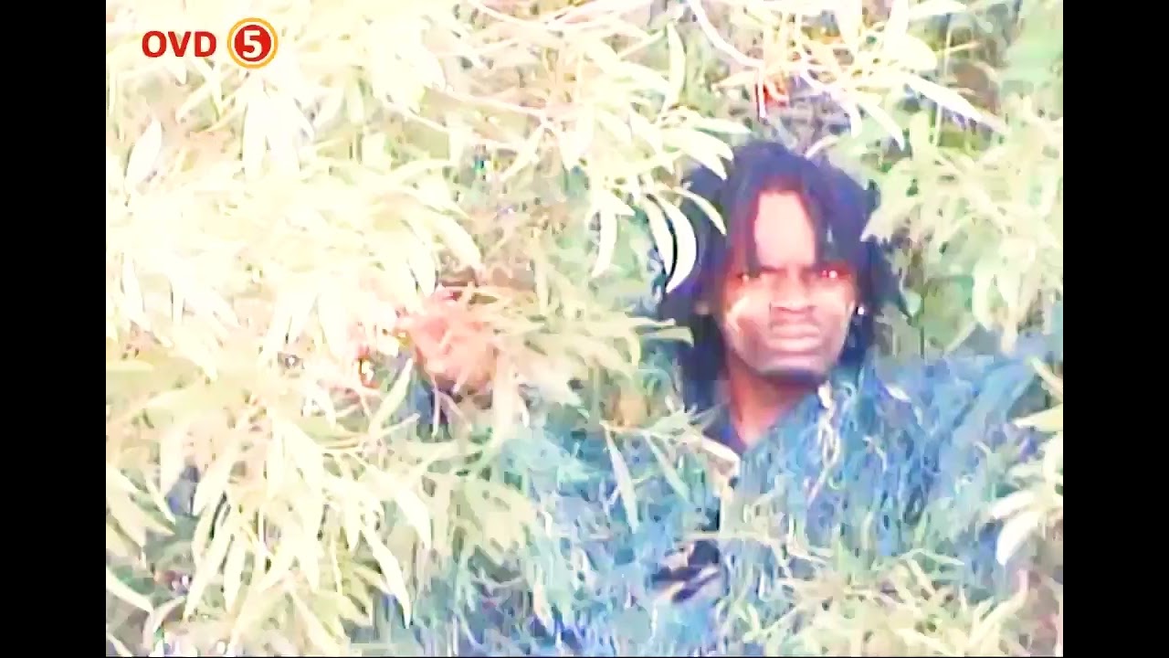BUSHBABY (OFFICIAL VIDEO)