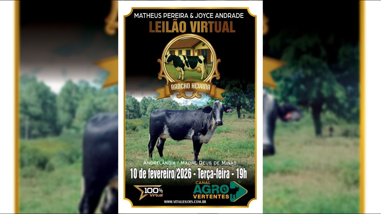 LEILÃO VIRTUAL RANCHO HEVANA - MATHEUS PEREIRA & JOYCE ANDRADE - 10/02/2026
