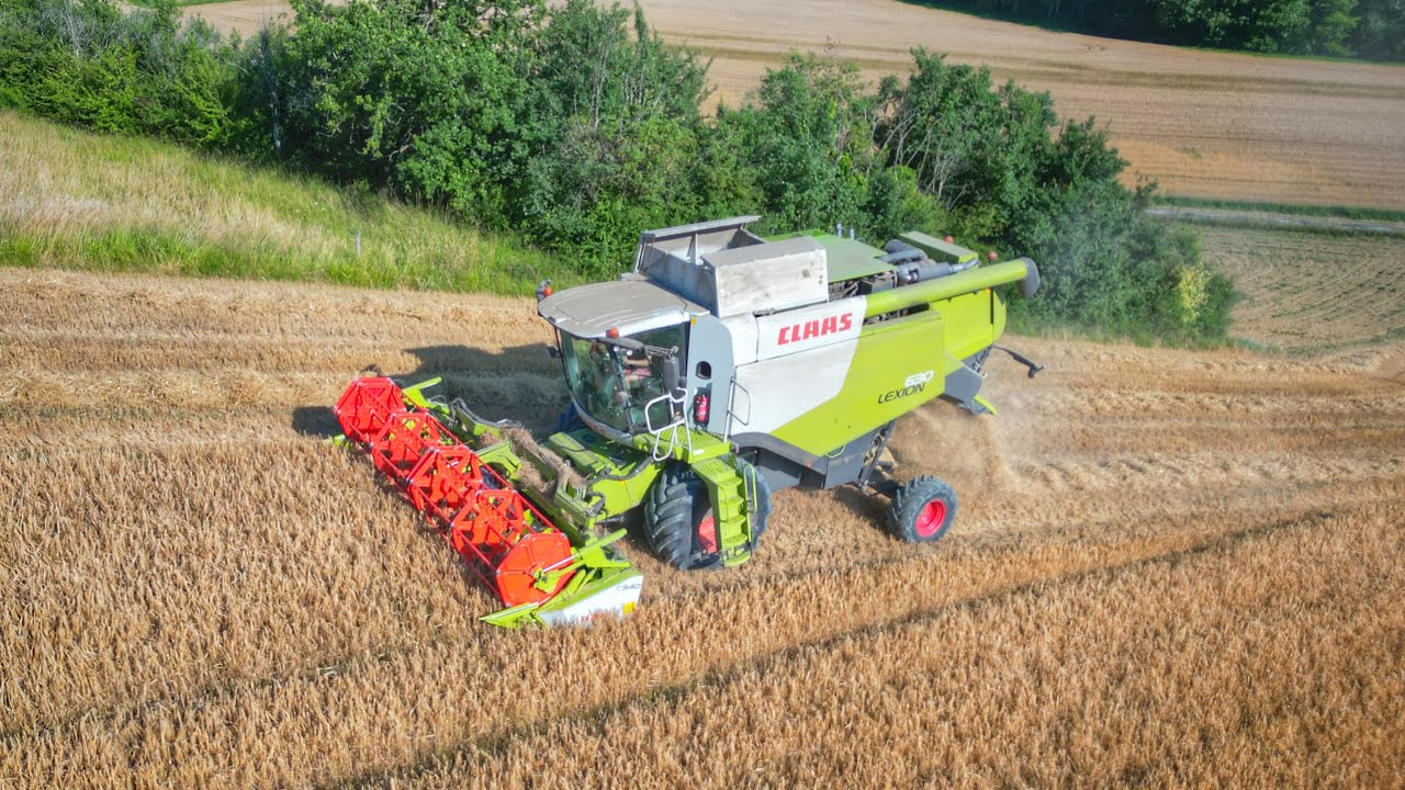 Moisson de l’orge 2024