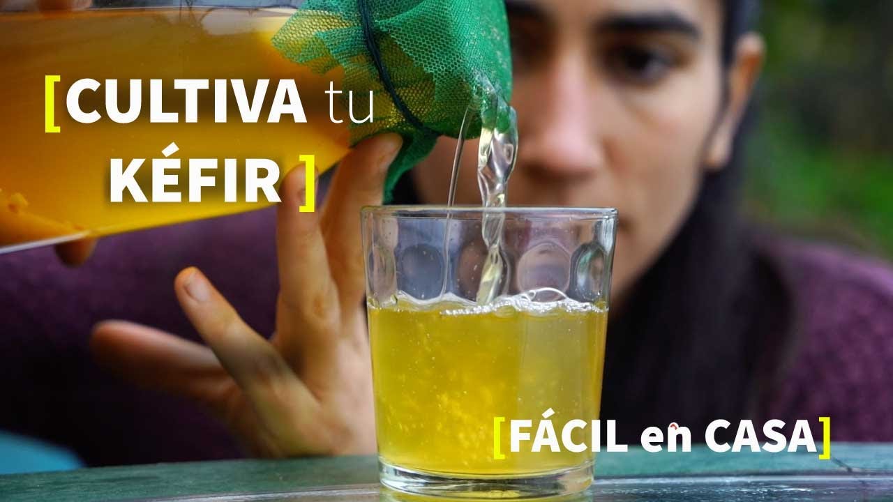 Kéfir de Agua 🍹 [BENEFICIOS de PROBIÓTICOS NATURALES]