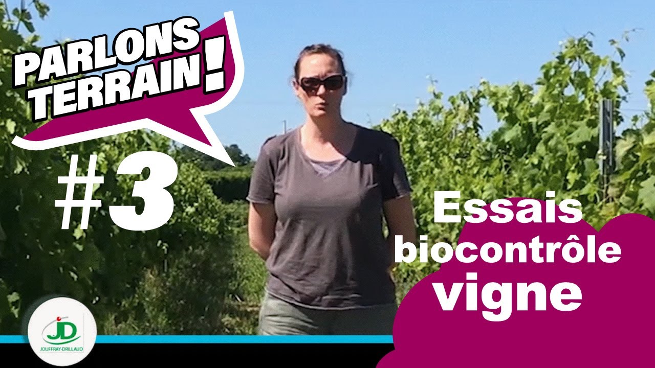 Parlons terrain#3 Biocontrôle, comment noter les essais en vigne ?