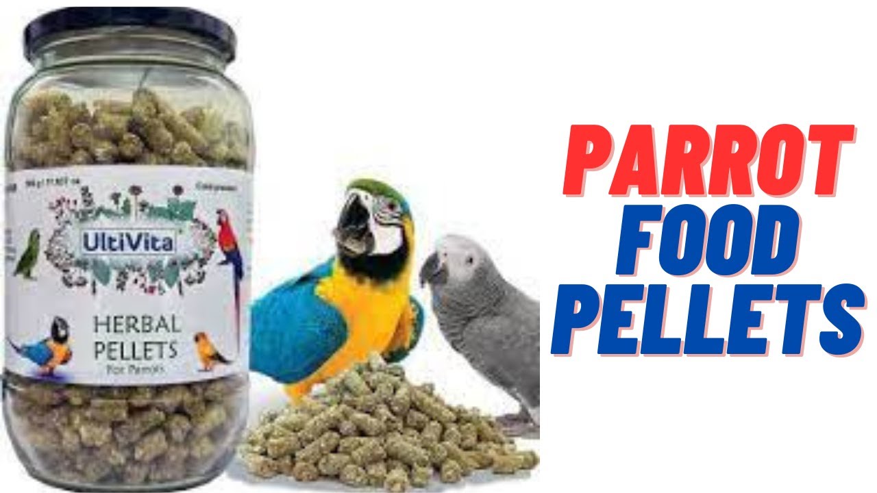 best Parrot Food Pellets |  Natural Pellets Bird Food 2023 |