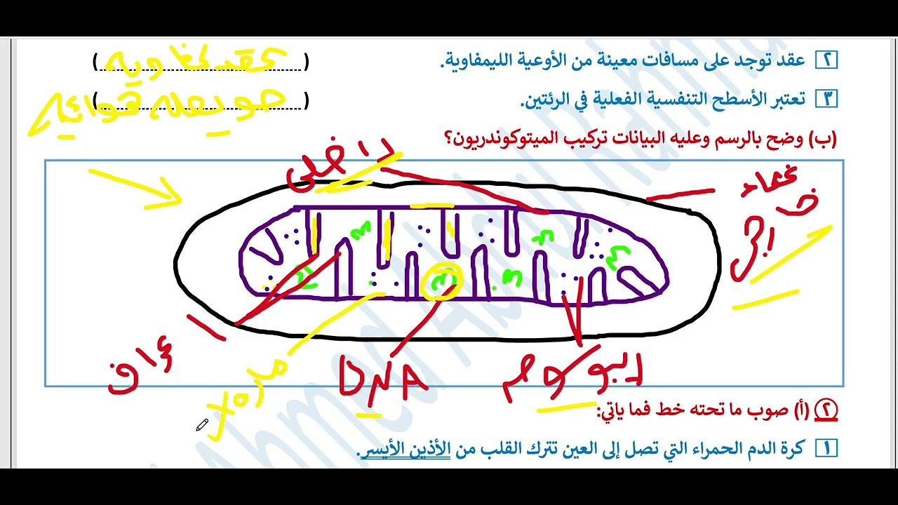 حل امتحانات المرشد احياء تانية ثانوي ازهر #امتحان القليوبية 2025
