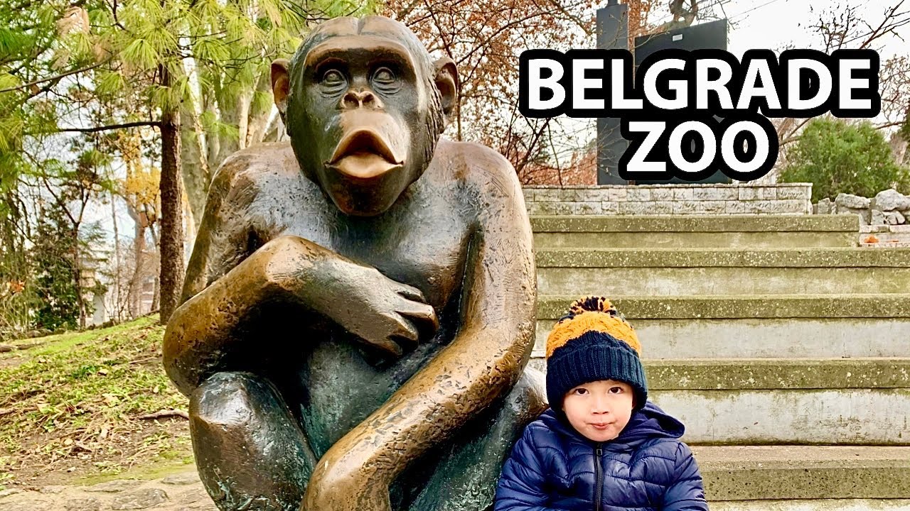 Belgrade Zoo in December 2020 | Serbia