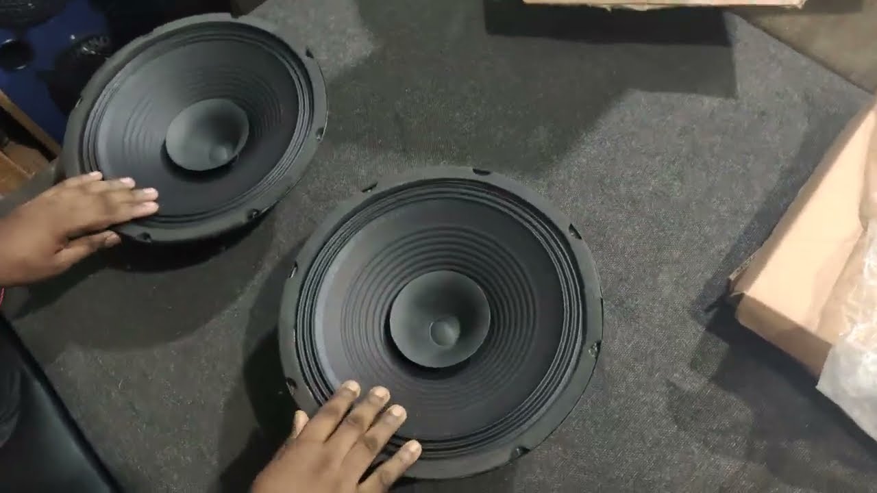 double 12 inch speaker #unboxingvideo #review #testing #speaker #experiment