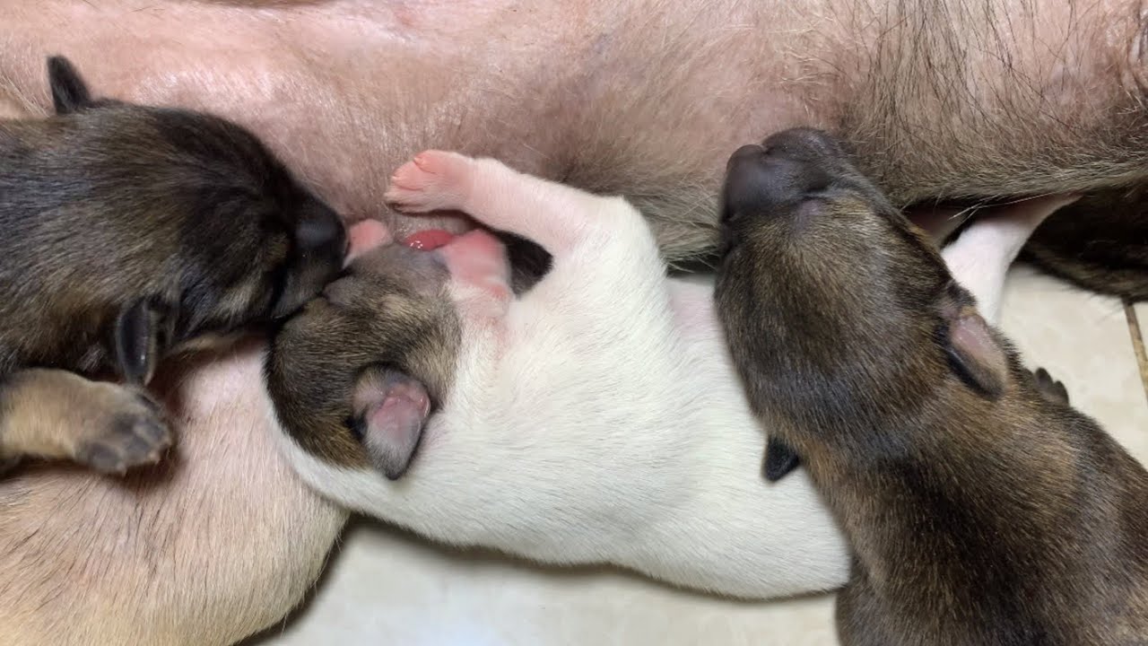 Finally found their mother