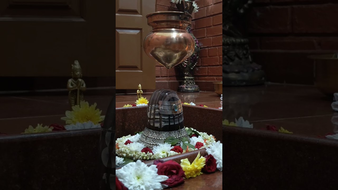Dwadasha Jyotirlinga Stotram | Mahashivratri | Sri Dakshineswara Shivalaya | Matrudhama |