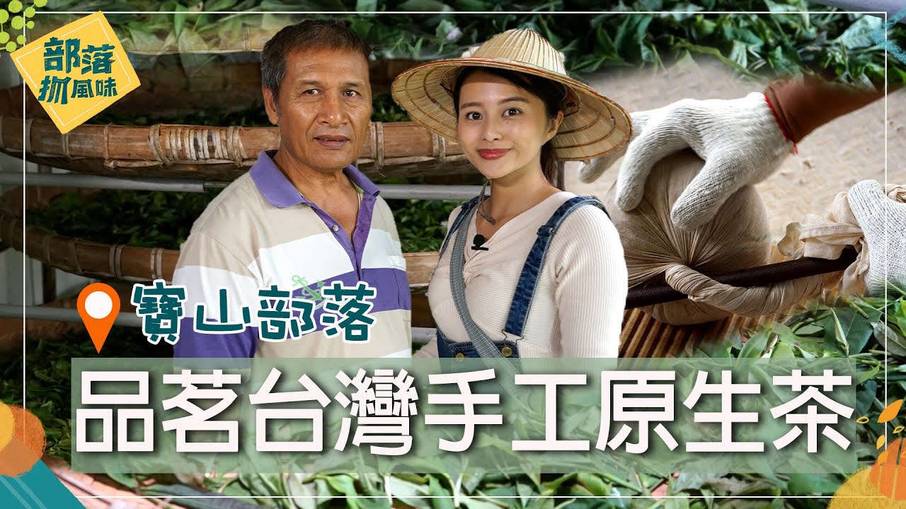 寶山部落品茗台灣原生山茶 發現麵包魔法菌種紅藜酵母｜部落抓風味 EP2