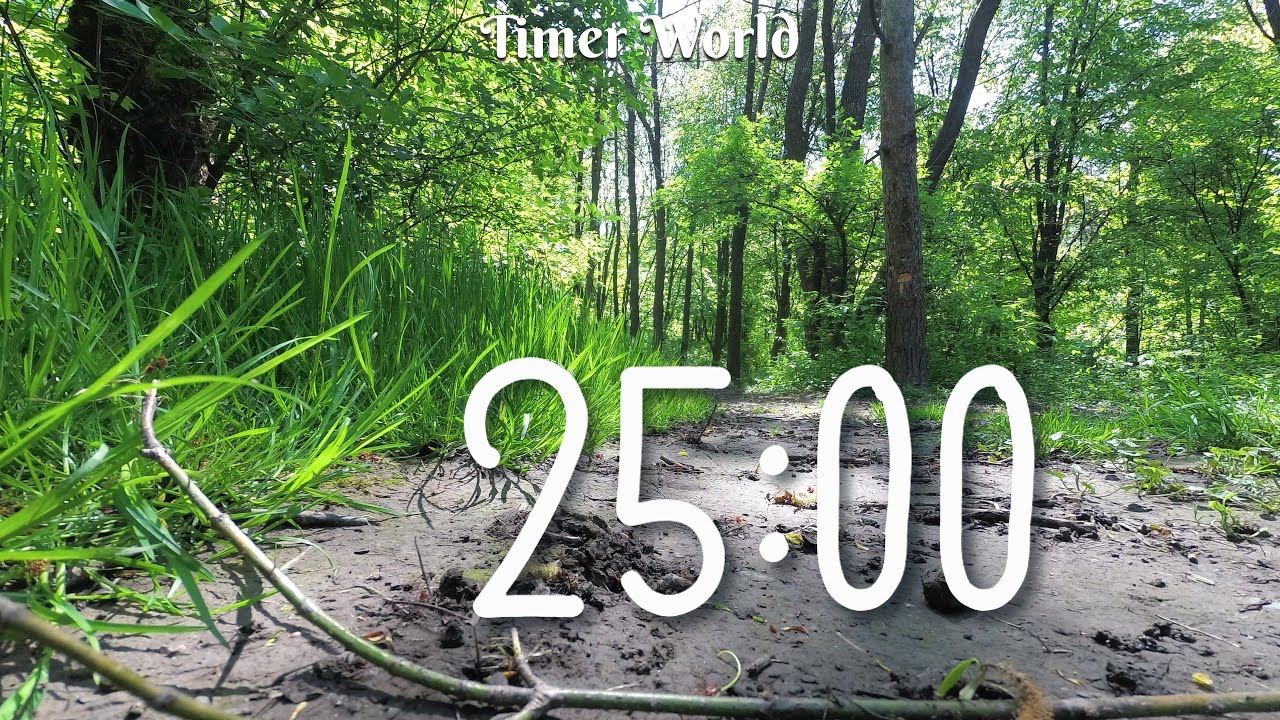 25 Minute Timer [NATURE] 🌳🕰️⏰ 25 Minutes to Supercharge your Productivity!