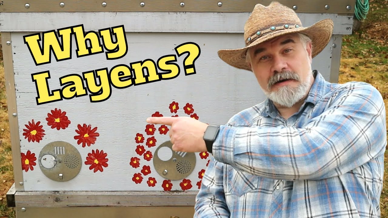 Why I Prefer the Layens Beehive (and you might, too)