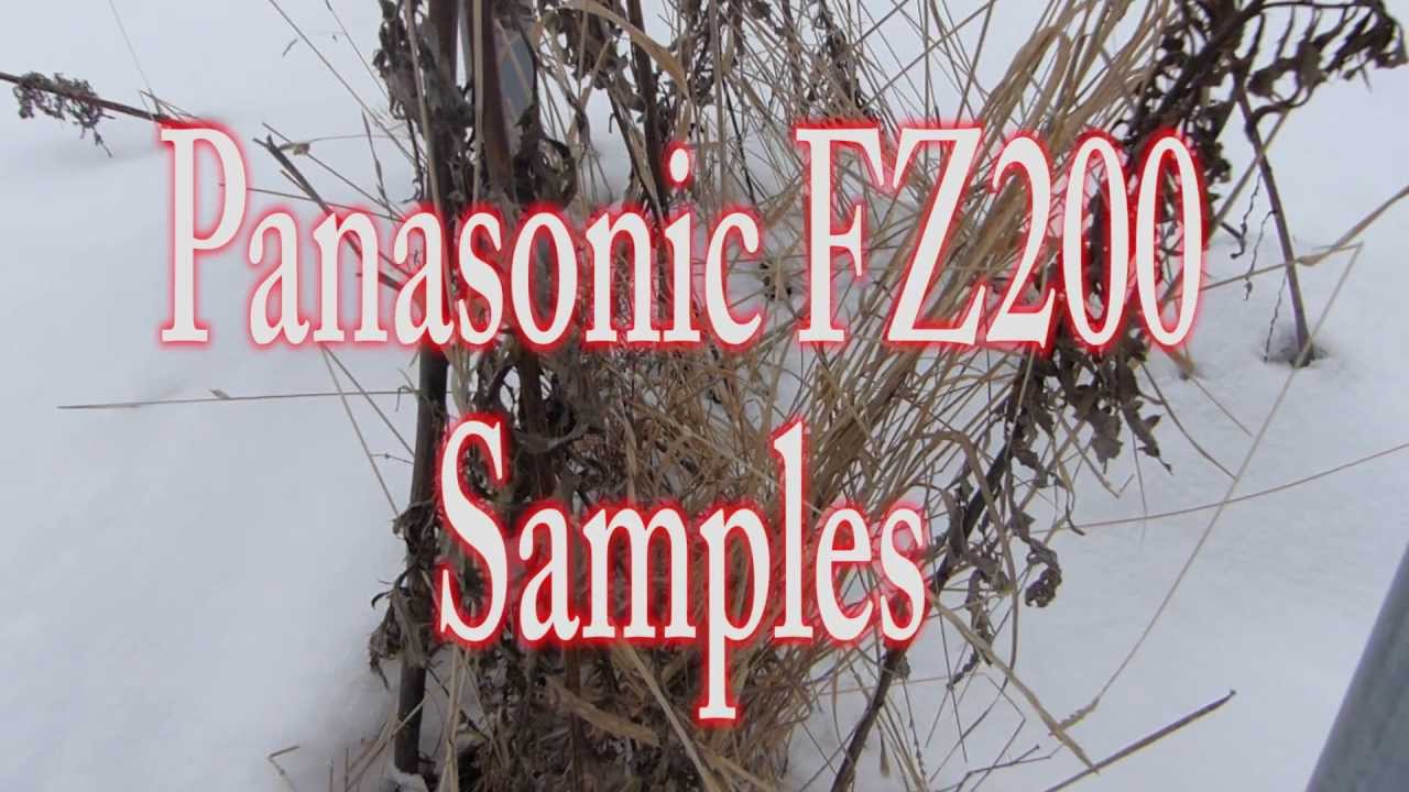Panasonic FZ200 - Samples (120fps clip included)