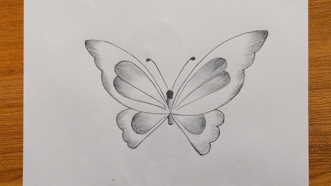 How to draw Butterfly drawing easy | Step by step drawing tutorial 