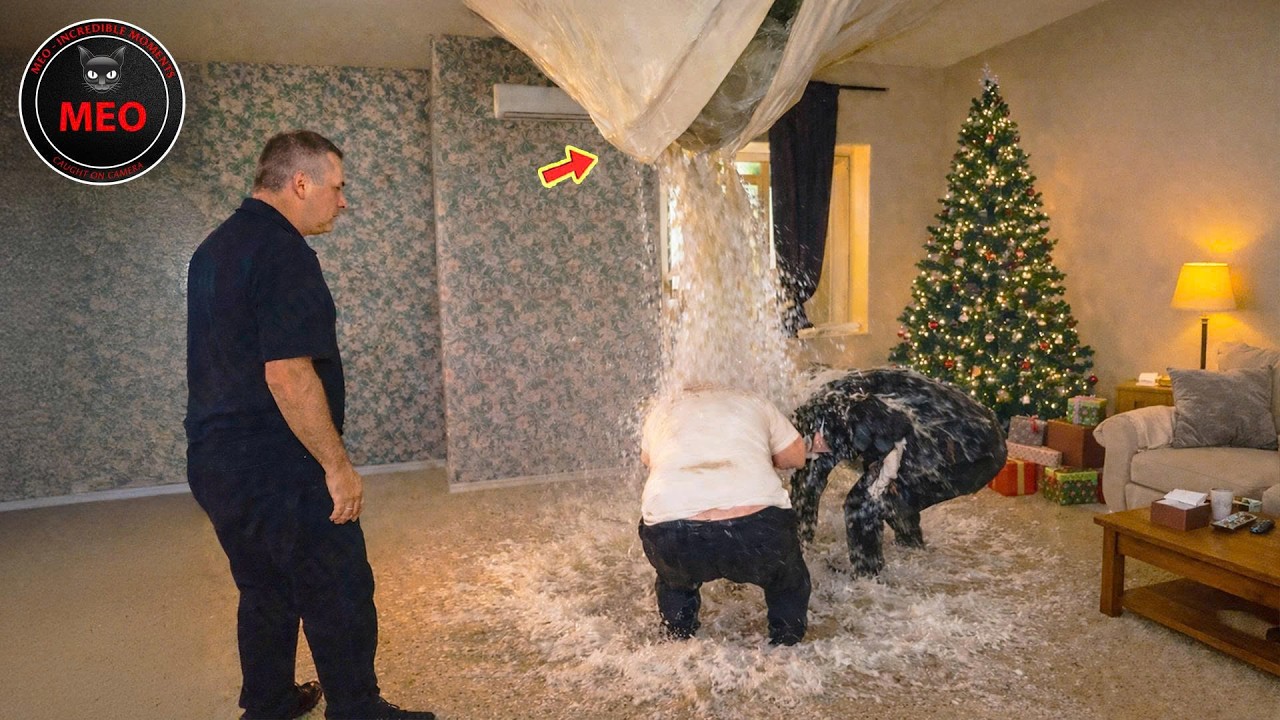 Moments when Thing Went Wrong (P158) | 2025 Idiots at Work & Instant Regret Fails Compilation