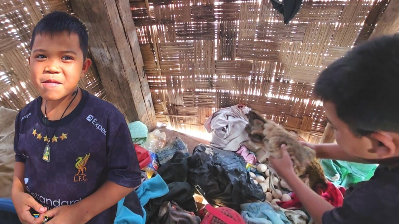 น้องสายฟ้าใจถึงพึ่งได้ จะต้มไก่แม่ฟักให้ลุงกิน8 กุมภาพันธ์ ค.ศ. 2026