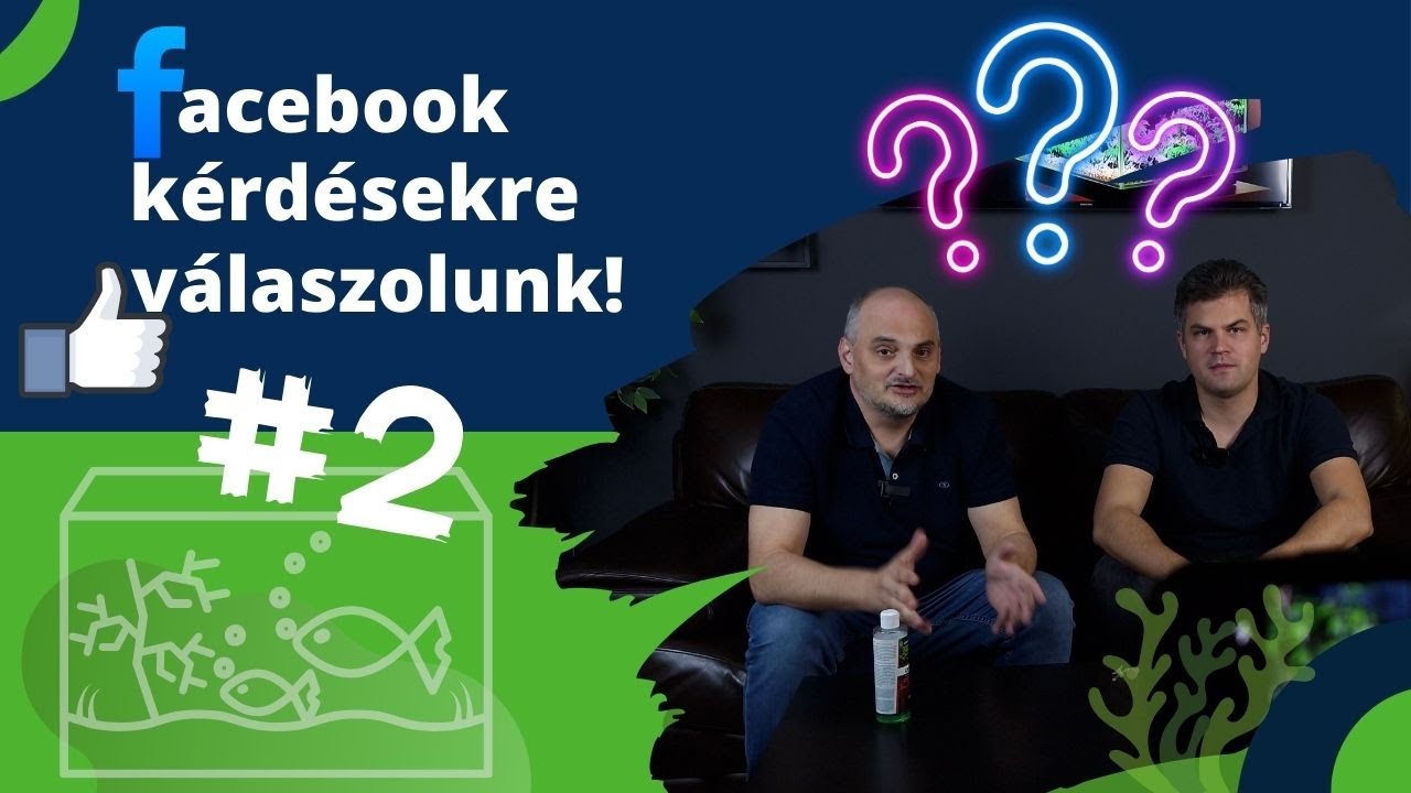 Facebook kérdések nyomában! 🌊🐠  PART #2