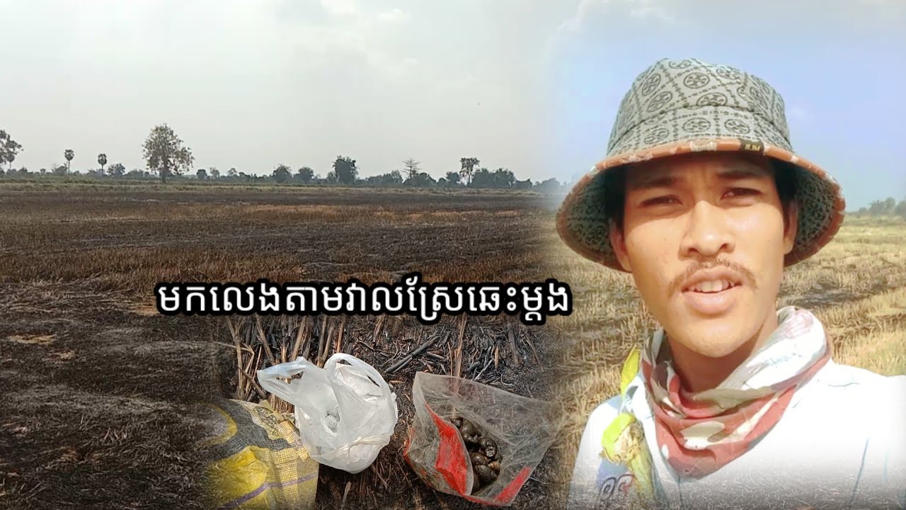 ថ្ងៃនេះមកលេងតាមវាលគេដុតម្ដង [ដាក់អន្ទាក់កណ្ដុរ]