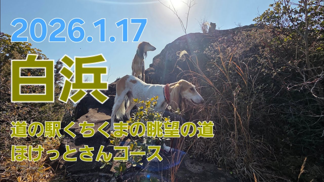 saluki 南紀白浜・道の駅くちくまの眺望の道