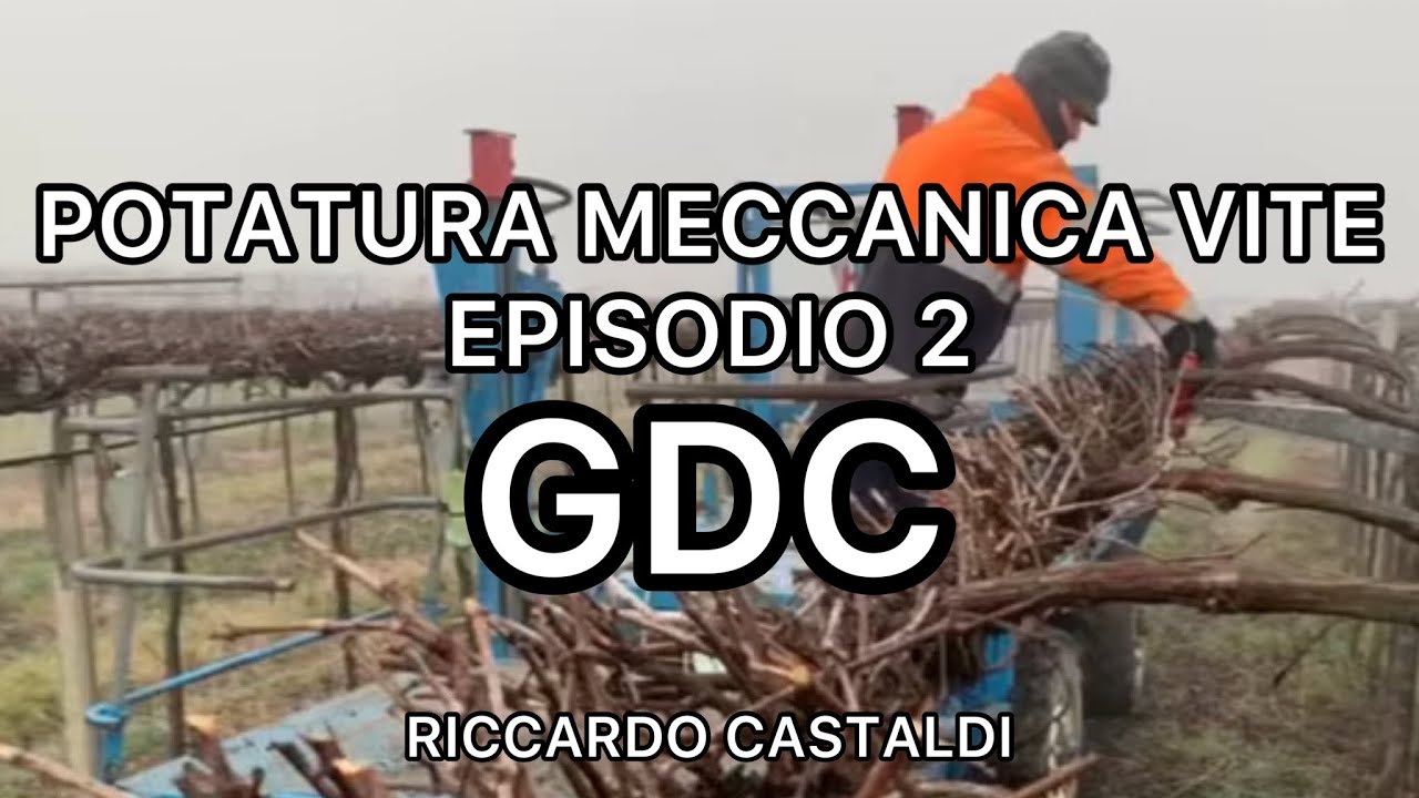 Vite. La potatura meccanica (episodio 2): GDC a cantieri separati