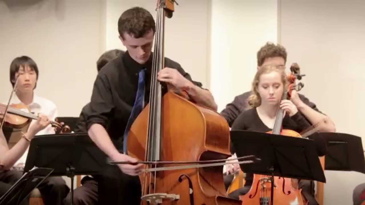 CMC: David Champa (Bass soloist) w/ Camerata Orchestra- Keyper, Romance & Rondo